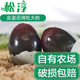 湖北松淳皮蛋20枚大号松花蛋无铅工艺自制鸭蛋变蛋新鲜溏心69克