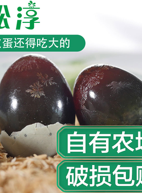 湖北松淳皮蛋10枚大号松花蛋无铅工艺自制鸭蛋变蛋新鲜溏心60克