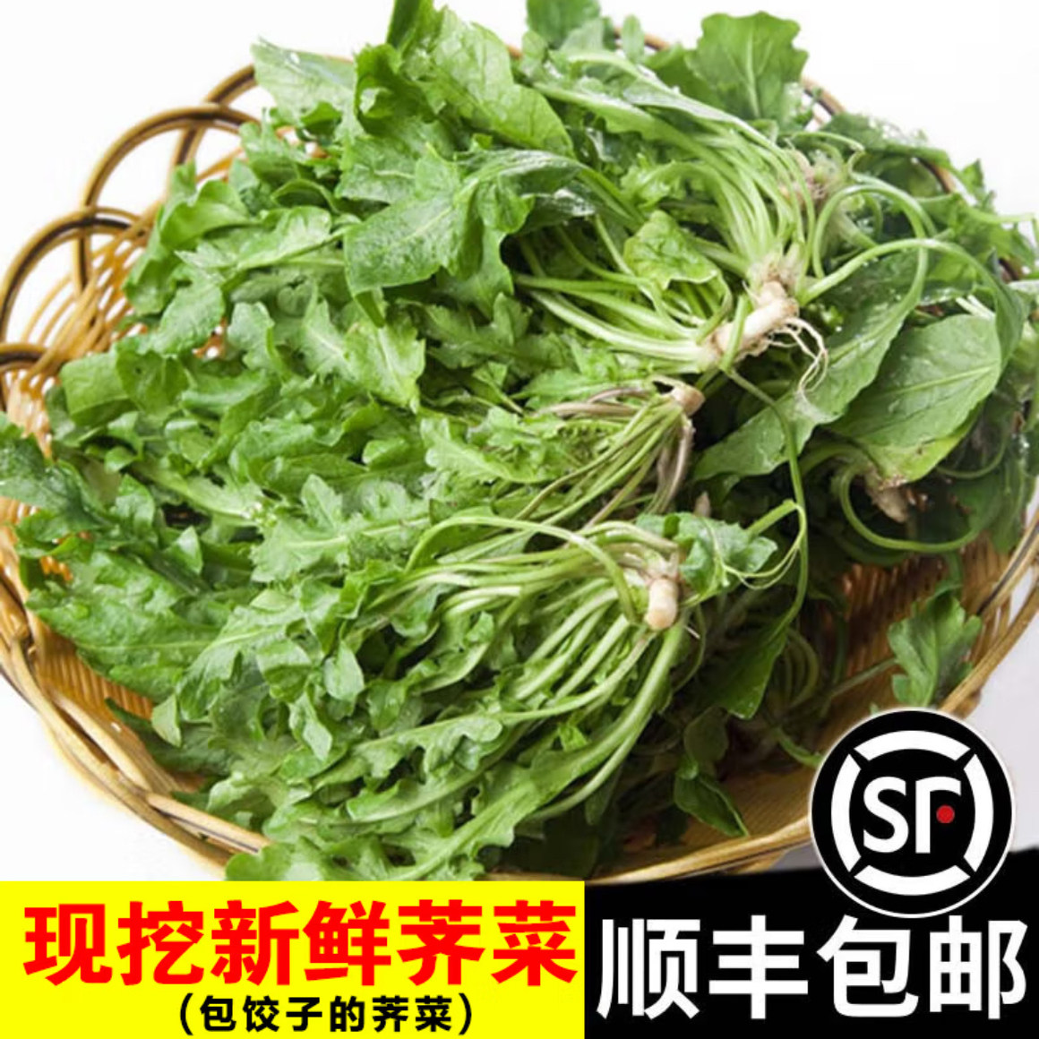 现货现挖现发新鲜荠菜