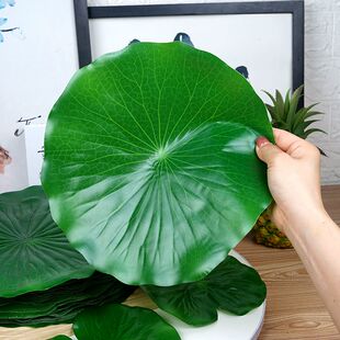 塑料仿真荷叶水果垫子假软胶漂浮荷叶芭蕉叶八角绿叶道具摆盘装饰