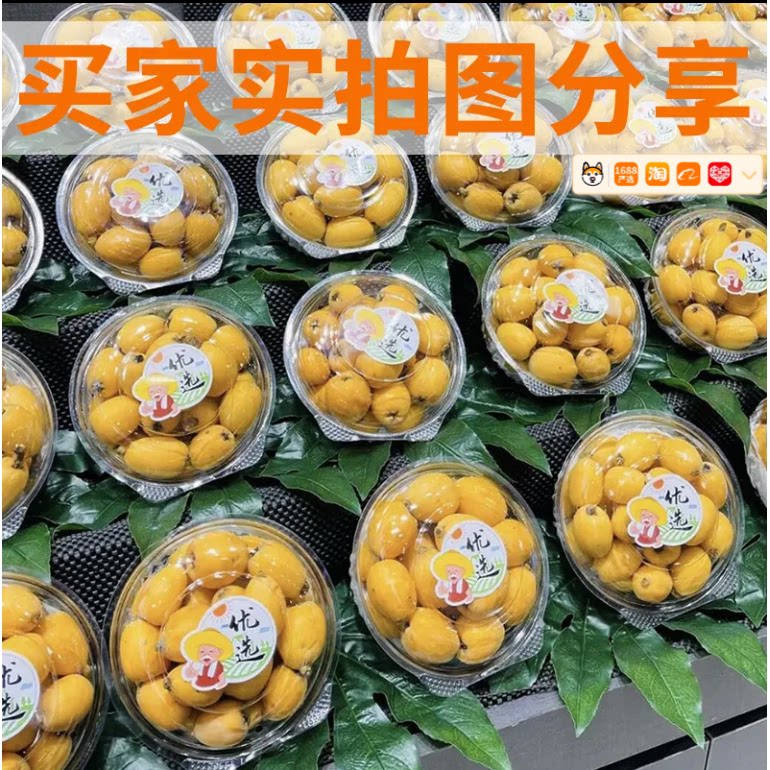 仿真八角金盘叶水果假装饰八角叶有骨生鲜果蔬垫树叶铺垫仿真绿叶