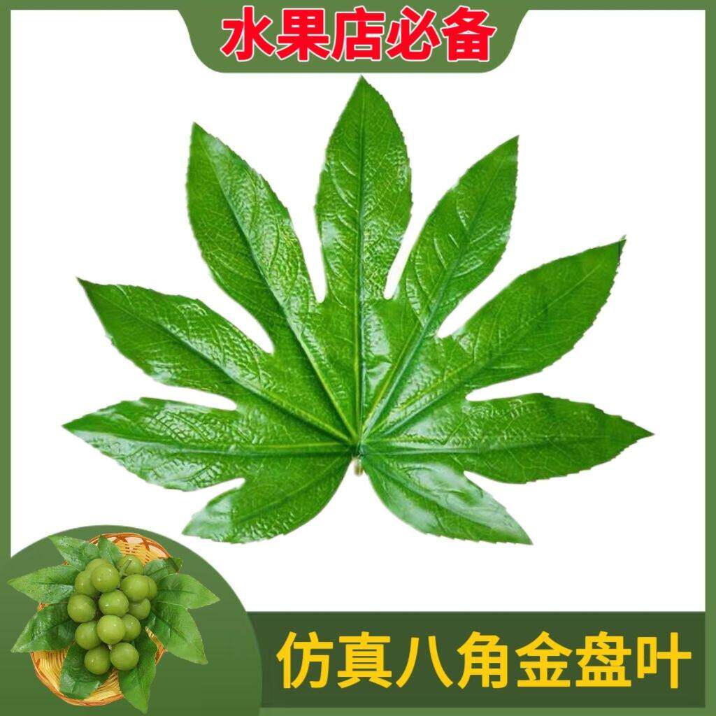仿真八角叶子水果店装饰假绿叶金盘叶方真树叶大小号价植物叶