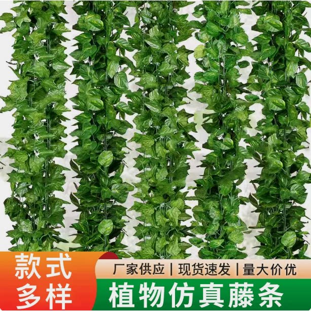 墙面挂饰仿真绿植物藤条绿叶吊顶装饰假花藤蔓阳台遮挡塑料葡萄叶