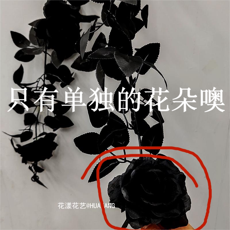圣诞节仿真黑色玫瑰叶藤条装饰品暗黑玫瑰叶子网红店派对花艺花藤