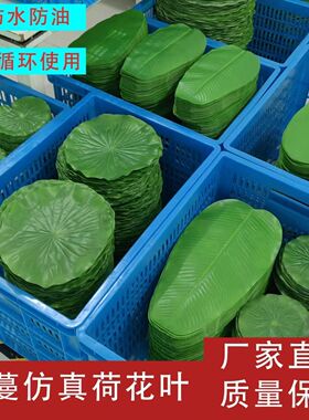 仿真荷叶餐厅菜肴装饰摆盘绿色叶子塑料水果店垫荷花吃烧烤店垫盘