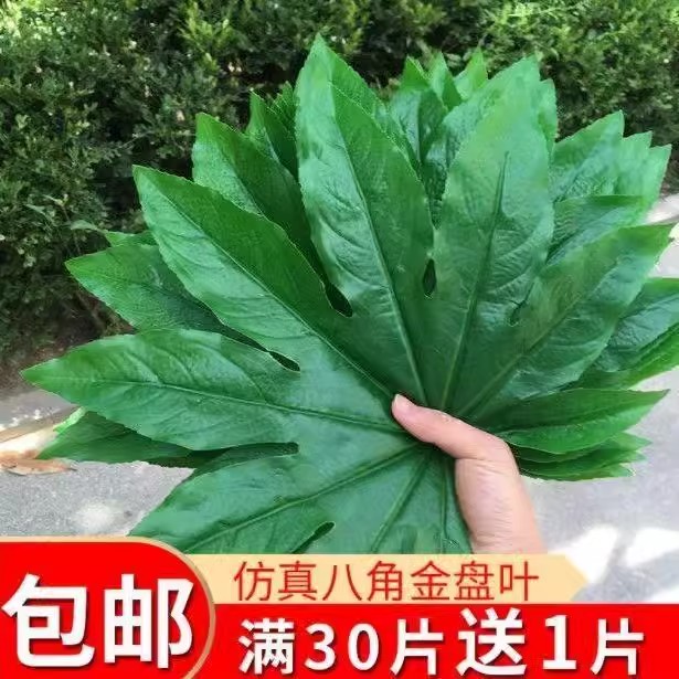 仿真八角金盘叶水果店装饰用品假塑料树叶子胶片叶铺垫装饰摆盘
