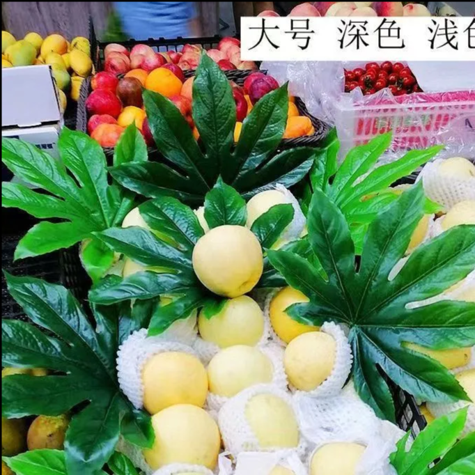 仿真八角叶超市水果区假叶子店铺陈列装饰品塑料绿色荷叶餐厅商用