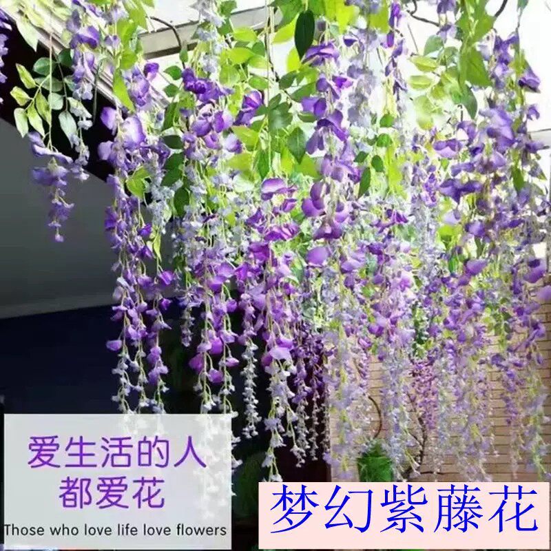仿真阿勃勒巨型紫藤花长枝串假花绢花垂吊花藤拍照藤蔓婚庆装饰花