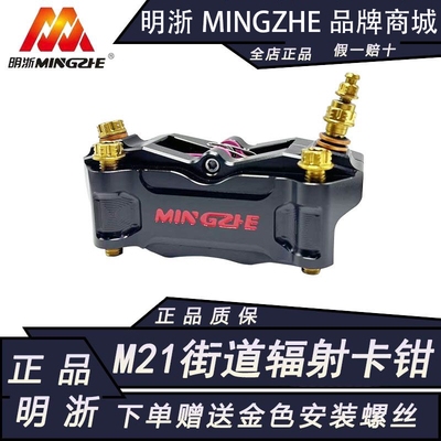 正品明浙M21街道版大辐射卡钳合九号小牛极核AE4车型前轮直上套装