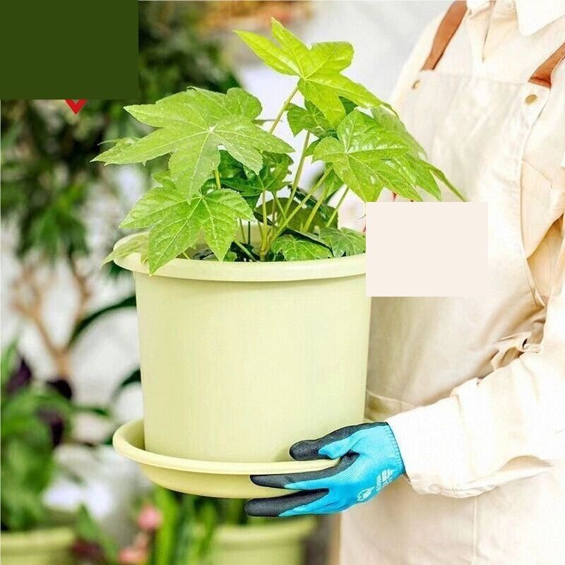 深型月季莲花家用仿陶瓷绣球花盆爱丽丝塑料加多肉仑