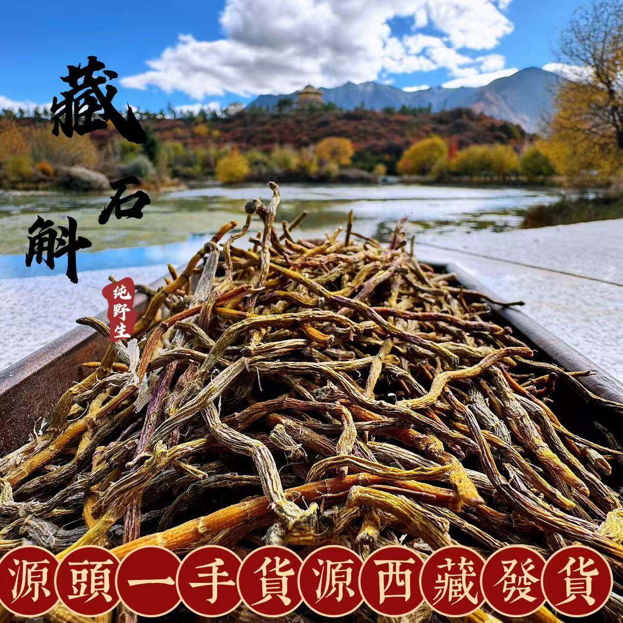 西藏直发 精选西藏高山野铁皮墨脱石斛鲜条虎牙石斛胶质饱满包邮