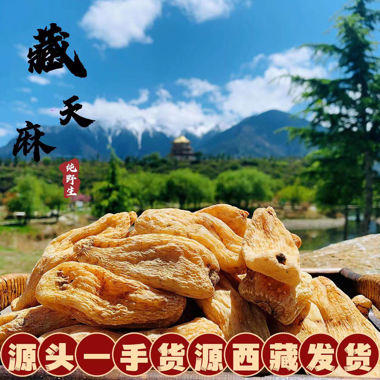 西藏直发 野外生天麻西藏林芝波密纯天然冬天麻干货精选250g包邮