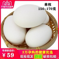 鹅蛋新鲜孕妇特大超大正宗土鹅蛋农家散养去胎毒12枚装150-170克