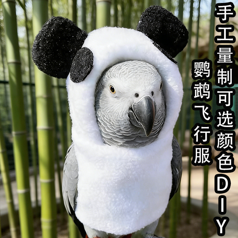 灰机鹦鹉鸟秋冬保暖防冻飞行衣服