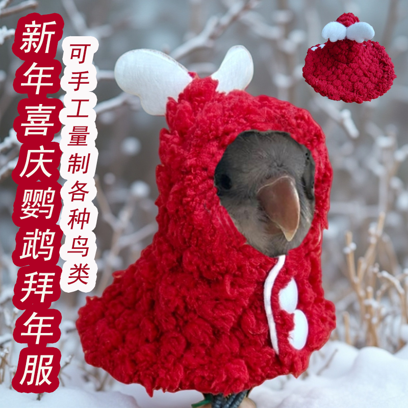 天使鹦鹉斗篷披风鸟用喜庆拜年服