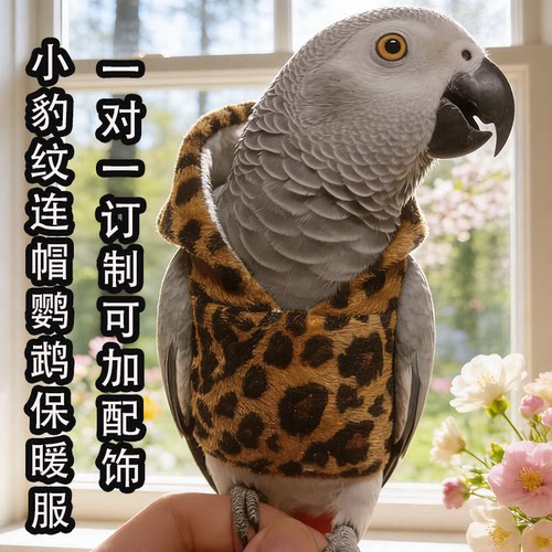 豹纹灰鹦鹉连帽飞行服春季保暖衣