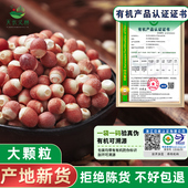 芡实干货500g特级鸡头米新鲜2025旗舰店正品 10mm大颗粒有机芡实