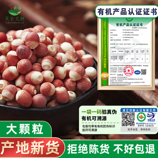 芡实干货500g特级鸡头米新鲜2025旗舰店正品 10mm大颗粒有机芡实