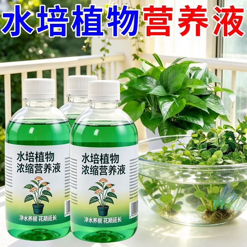 浓缩水培通用富贵竹通用型营养液肥料绿萝盆栽家用花卉植物液体