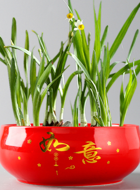 特价水培大口径号水仙花盆红色陶瓷无孔水养铜钱草睡莲碗莲一叶莲