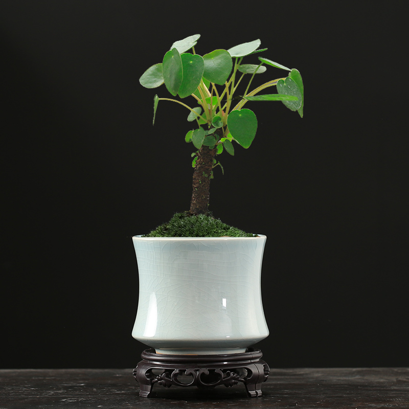 哥窑多肉蝴蝶兰专用花盆