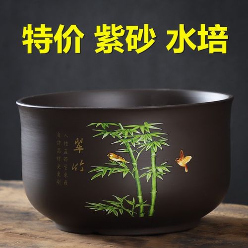 睡莲专用紫砂水养无孔金鱼盆水仙