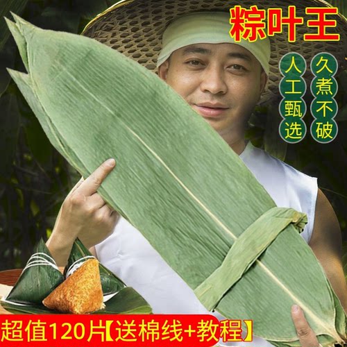 120片】端午节天然干粽叶粽子叶包粽子家庭装麻竹叶非箬叶送绳子
