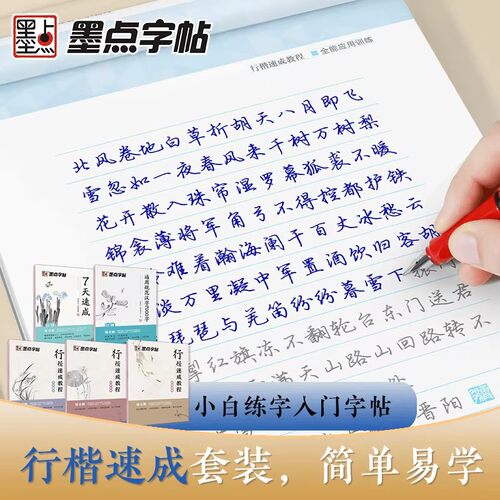 墨点荆霄鹏行楷字帖速成硬笔书法练字入门笔画偏旁间架结构全能应用训练成人大学生行楷速成字帖成人练字静心钢笔临摹专用练字本