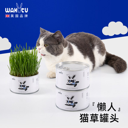 wakytu英国猫草罐头懒人种植小麦猫咪猫草零食育苗盘盆栽化毛草