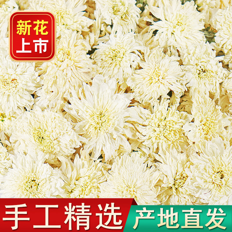 2023新花黄山白菊花茶白菊花新花黄山白菊茶贡胎菊花散装