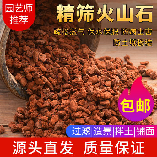 天然火山石盆栽兰科多肉鱼缸造景