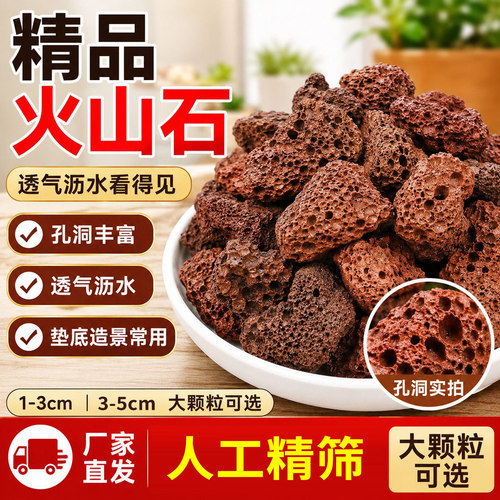 天然火山石鱼缸造景盆栽兰科多肉