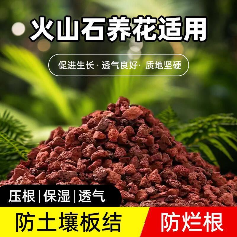 养花专用火山石颗粒铺面拌土兰花专用透气防烂根铁皮石斛兰花土 - 实物图