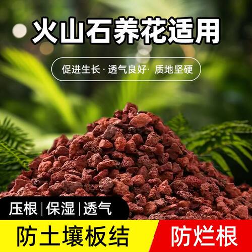 天然火山石园艺专用兰科专用铺面
