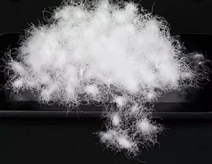 散装精洗无菌60白鸭绒羽绒服羽绒被原料填充（单件50g可多拍）