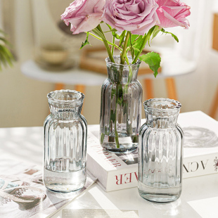 北欧风轻奢水培小花瓶水养绿植家居透明饰品客厅玻璃插花器摆件