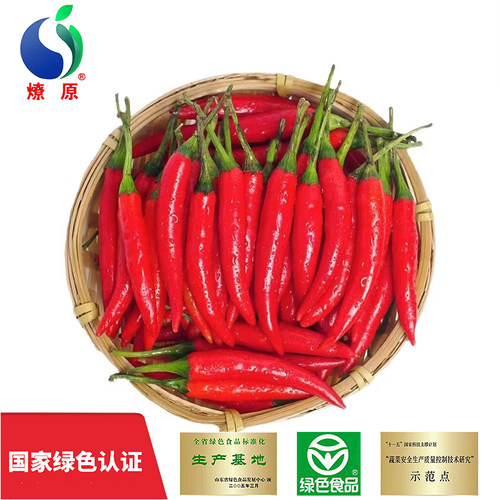 燎原小米椒基地直供现摘现发