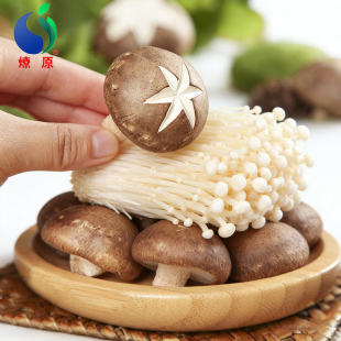 新鲜家常菌菇金针菇香菇自由组合火锅煲汤配营养美味
