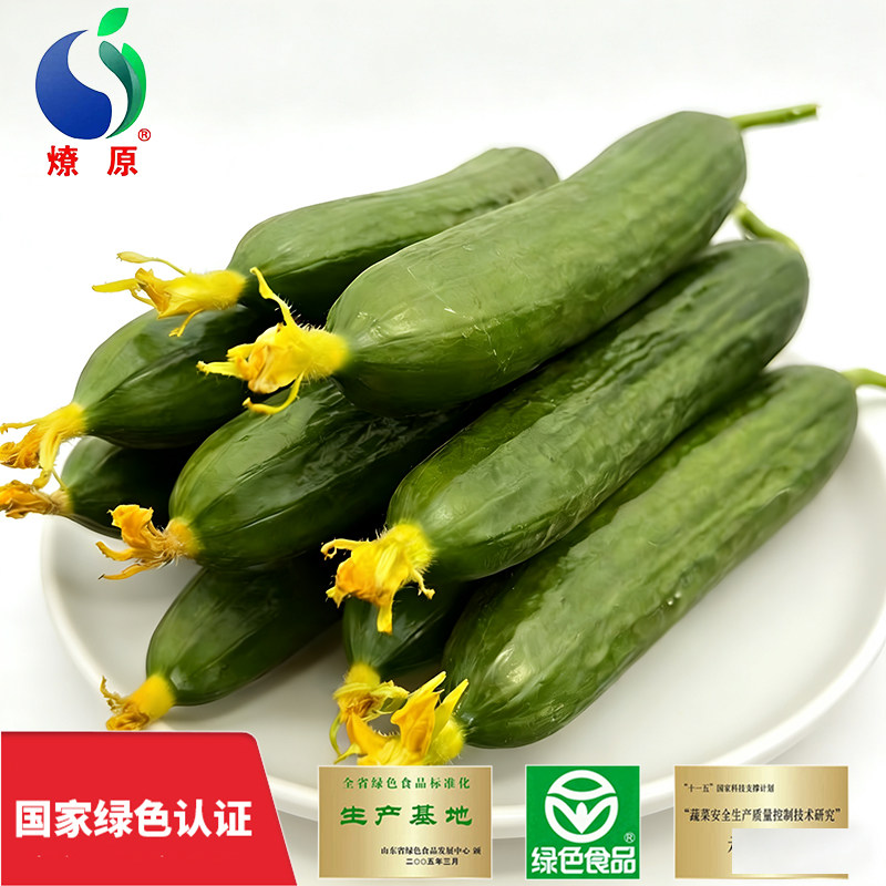绿色脆爽小黄瓜2斤孕妇新鲜现摘