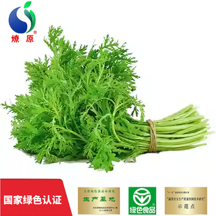 燎原绿色茼蒿2斤 基地自种国家绿色认证新鲜蔬菜