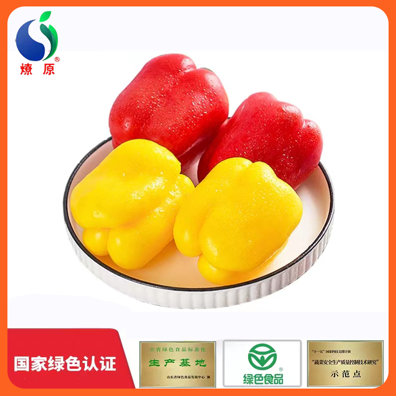 燎原绿色五彩椒现摘红黄灯笼圆椒