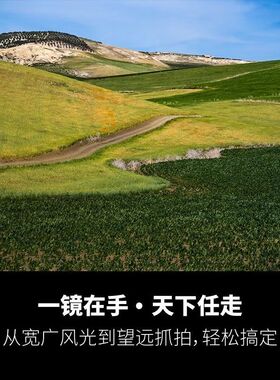 海外版腾龙28-200mmF2.8-5.6E卡口全画幅长焦镜头28200 28-200