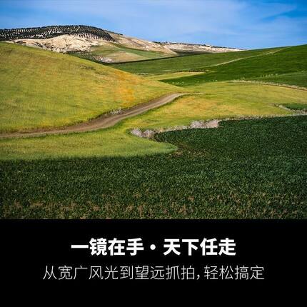 海外版腾龙28-200mmF2.8-5.6E卡口全画幅长焦镜头28200 28-200