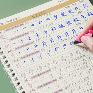 語文課本教材同步生字上冊下冊凹槽練習寫字本天天練部編2024年小學生兒童硬筆書法正楷楷書漢字帶筆畫筆順練字帖 二年級字帖人教版
