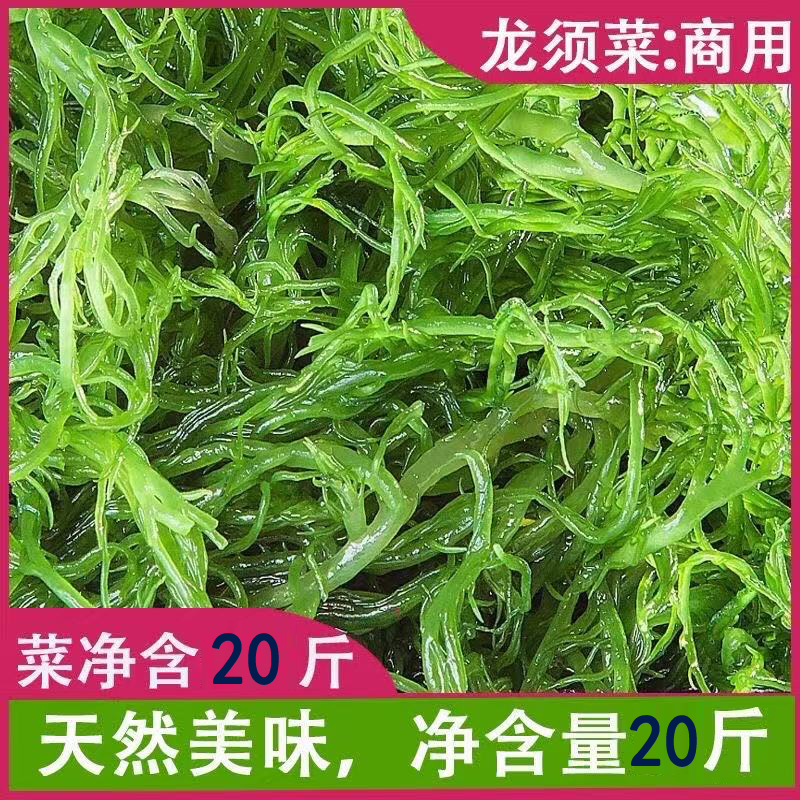 龙须菜海藻极少盐净重20斤源产地直发商家专用新鲜海草火锅麻辣烫