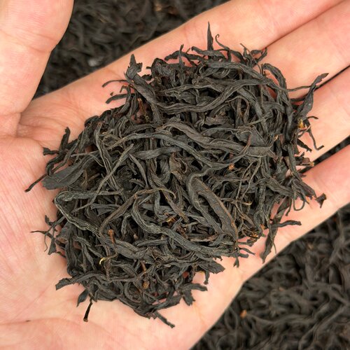 温州荒山老枞木质香红茶125g