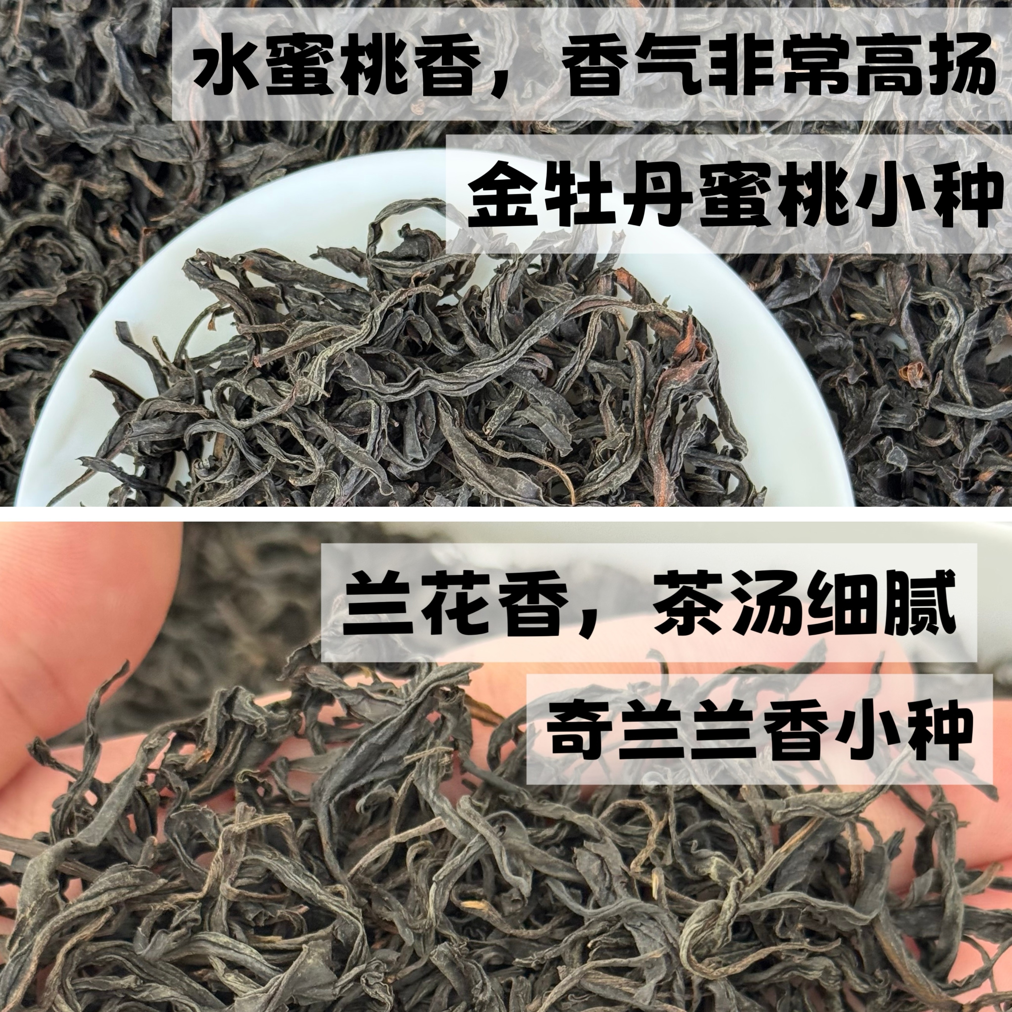 【兰香小种+蜜桃小种】2026武夷山小种红茶头春茶125克罐装礼盒装