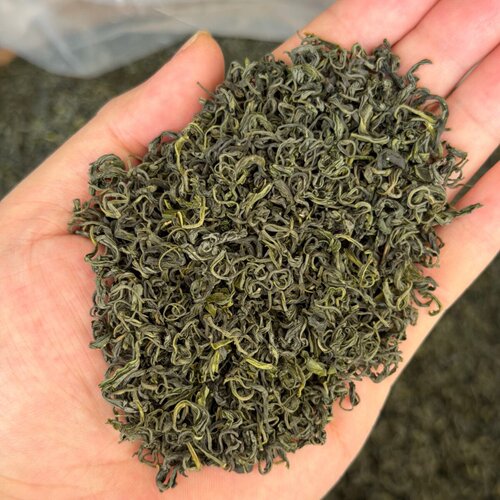 2026雨前松阳香茶兰栗香250g