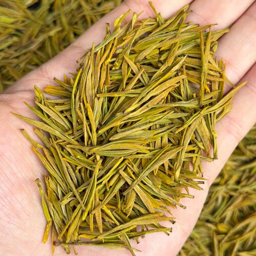 安吉西亩黄金叶雨前高山花香绿茶