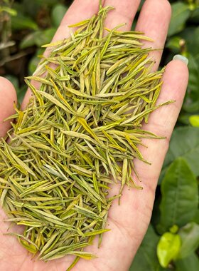 昆铜奶粉香白茶高山绿茶100g